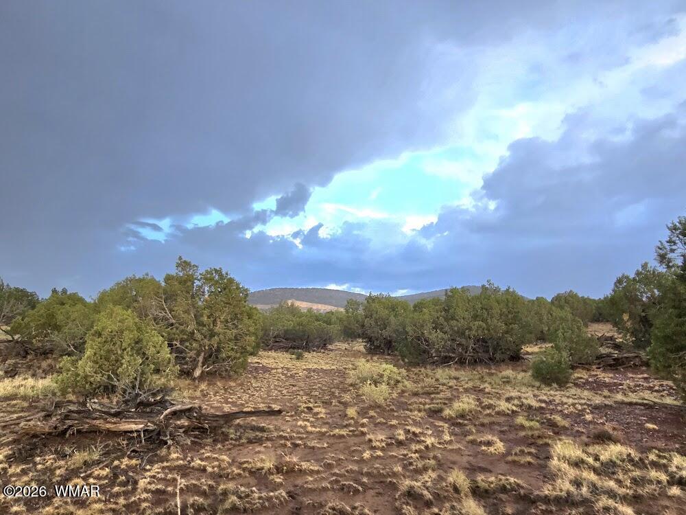 Lot 9 Pinon Valley Ranch Concho, AZ 85924 - Photo 2 of 12 a view of a lake with a mountain