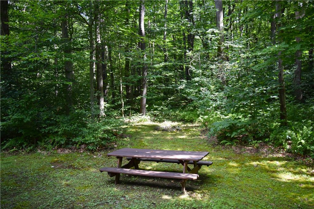 189 Fire Tower Road Champion, PA 15622 - Photo 2 of 25 a wooden bench sitting in the middle of a forest