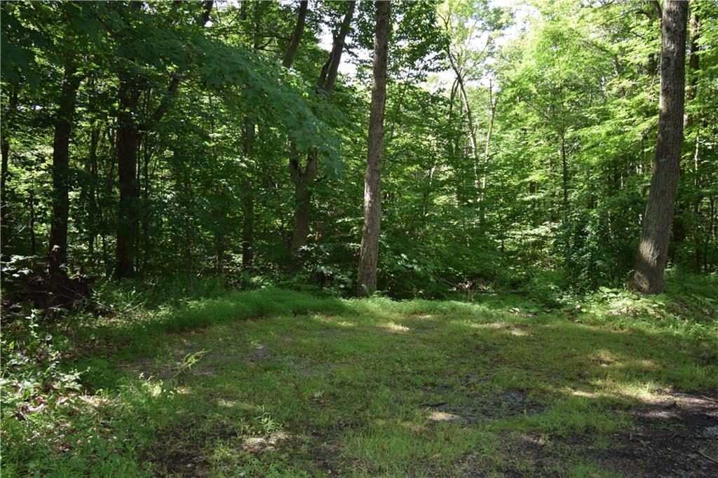 189 Fire Tower Road Champion, PA 15622 - Photo 9 of 25 a view of outdoor space and green space