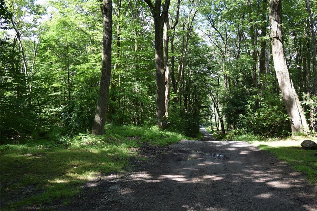 189 Fire Tower Road Champion, PA 15622 - Photo 10 of 25 a view of outdoor space and yard