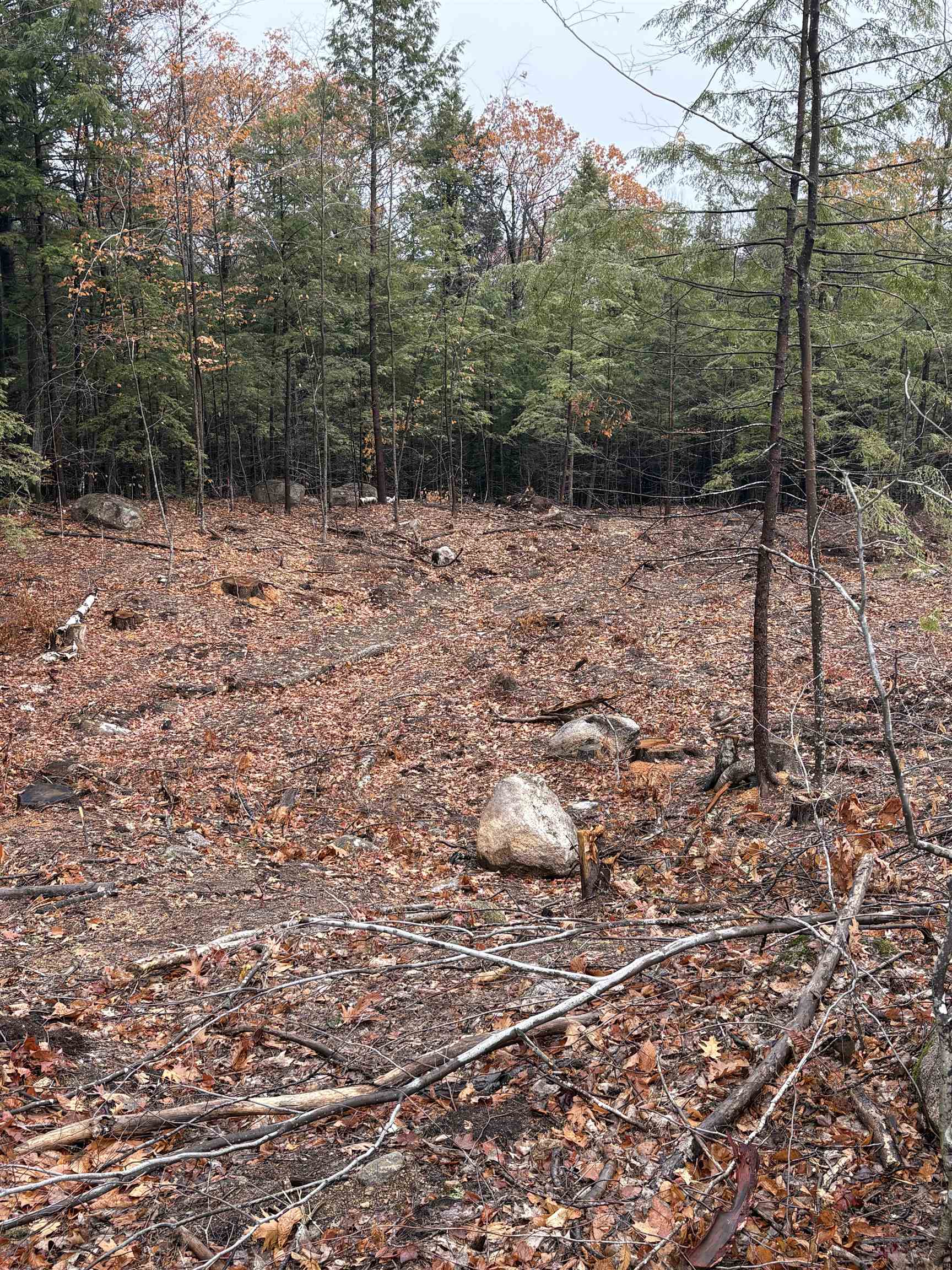 7 Sugar Loaf Drive, Unit 8 Ossipee, NH 03814 - Photo 2 of 9