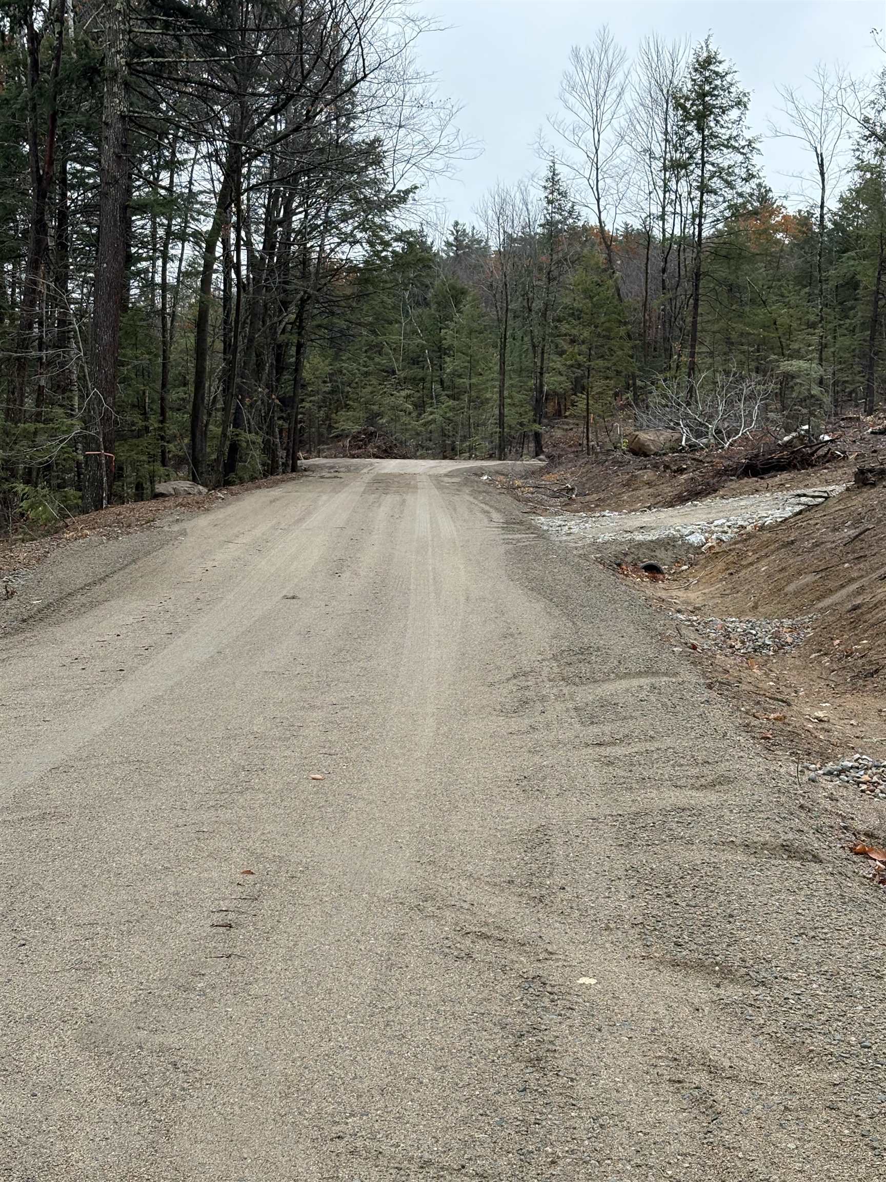 7 Sugar Loaf Drive, Unit 8 Ossipee, NH 03814 - Photo 5 of 9