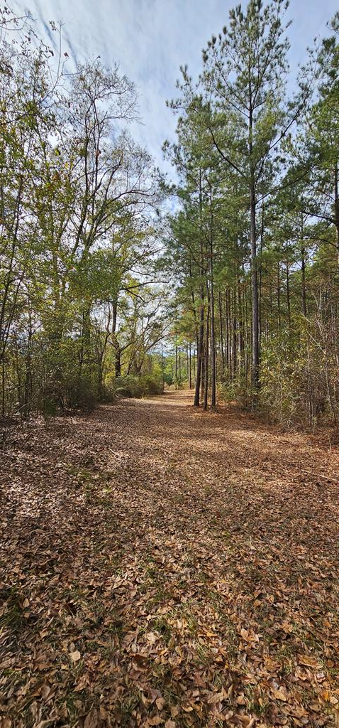 998 Sander Spur Road Slocomb, AL 36375 - Photo 67 of 69