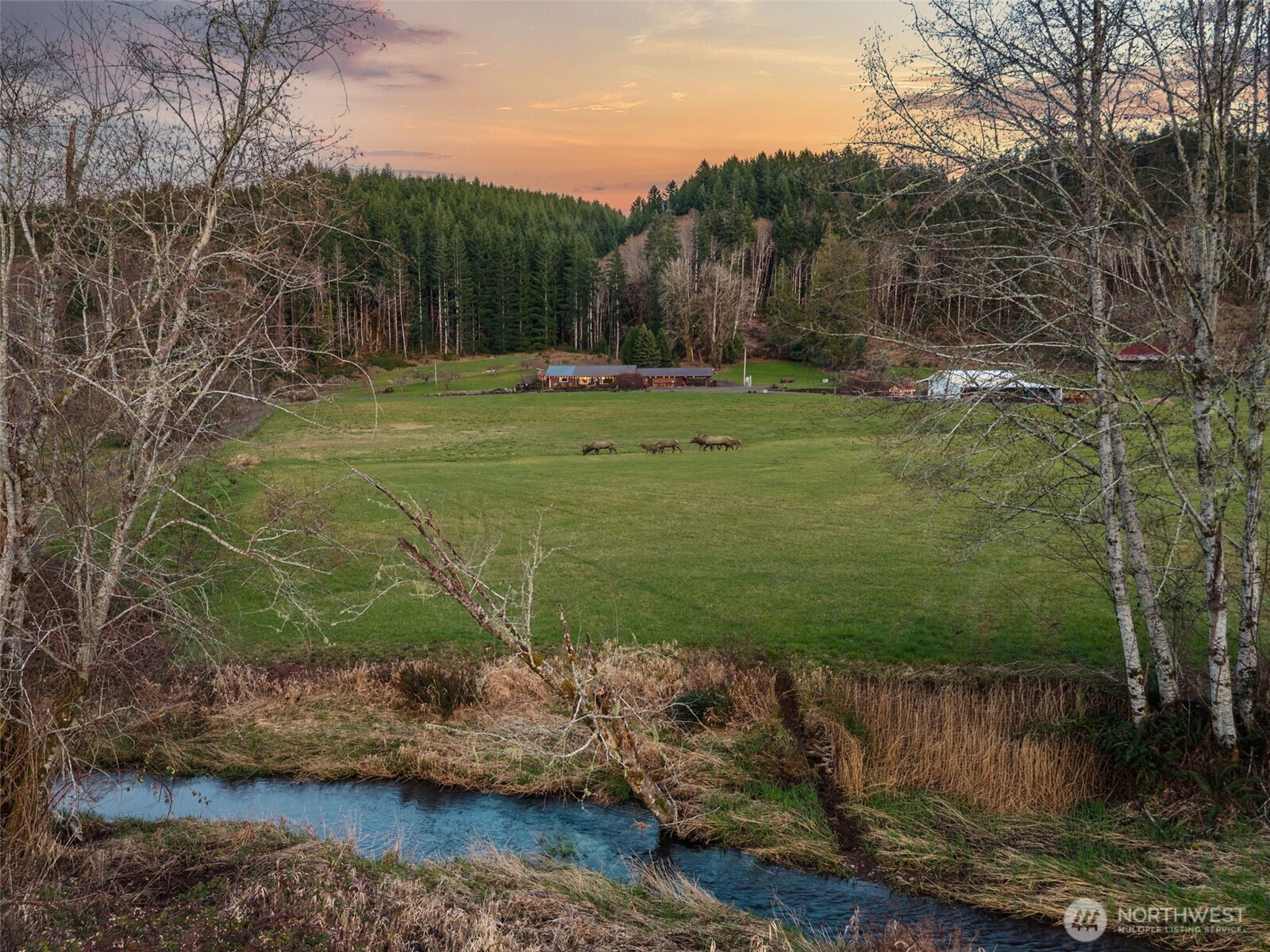 65 Wilderness Road Oakville, WA 98568 - Photo 2 of 40 a view of a park with large trees
