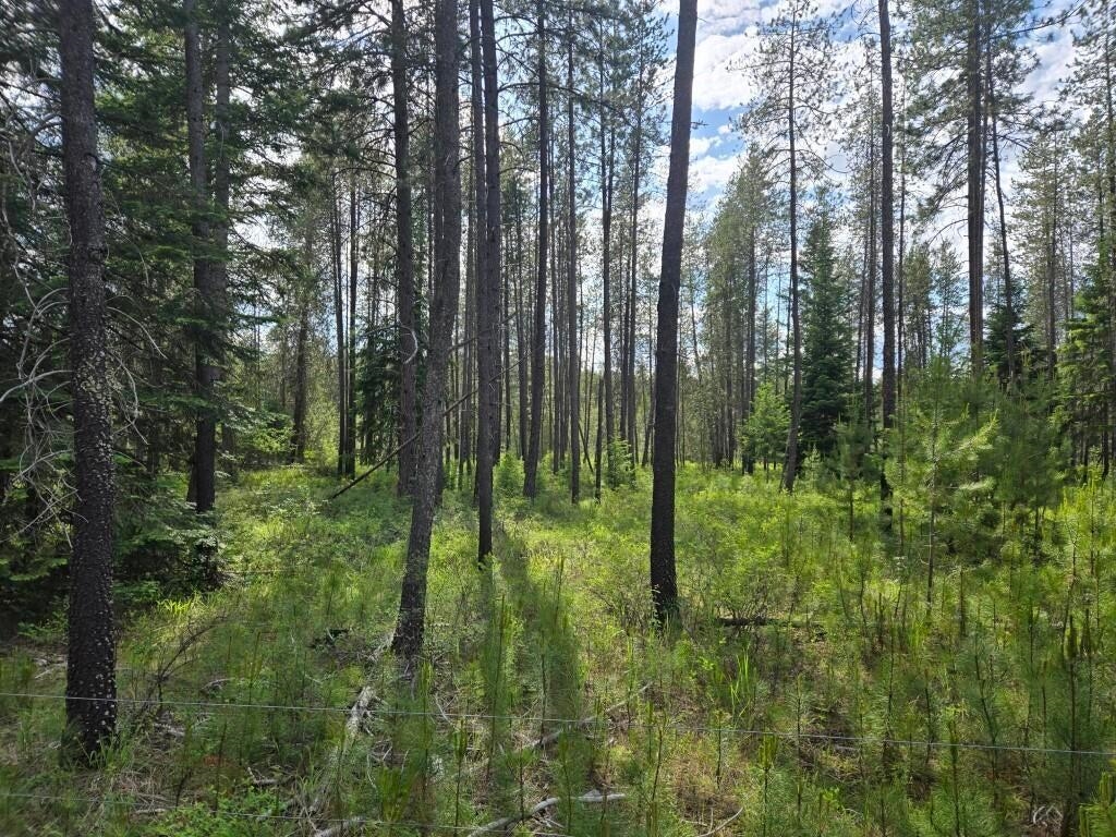 26-xx Sand Canyon Road Chewelah, WA 99109 - Photo 2 of 9