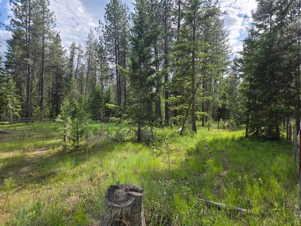 26-xx Sand Canyon Road Chewelah, WA 99109 - Photo 5 of 9