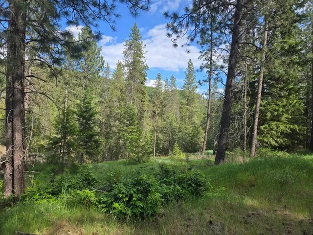 $100,000 | 26-xx Sand Canyon Road, Chewelah, WA 99109