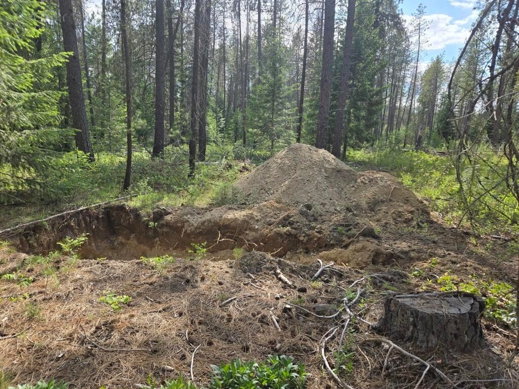 26-xx Sand Canyon Road Chewelah, WA 99109 - Photo 8 of 9