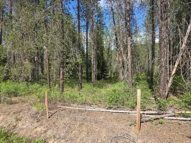 $100,000 | 26-xx Sand Canyon Road, Chewelah, WA 99109