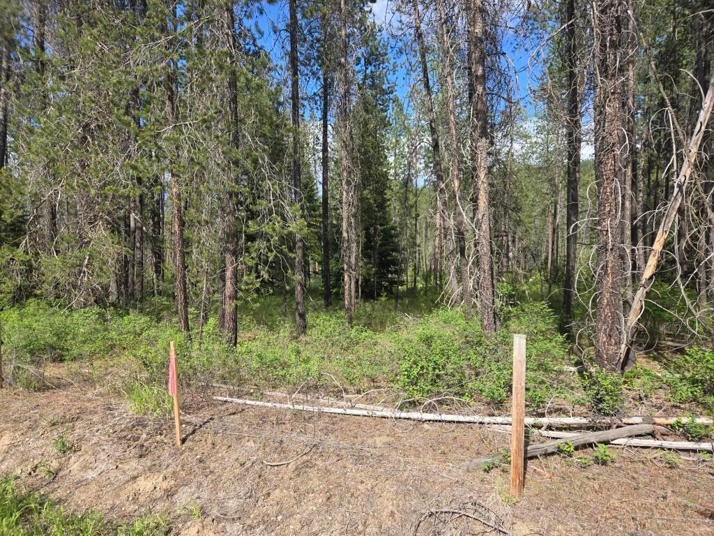 26-xx Sand Canyon Road Chewelah, WA 99109 - Photo 9 of 9