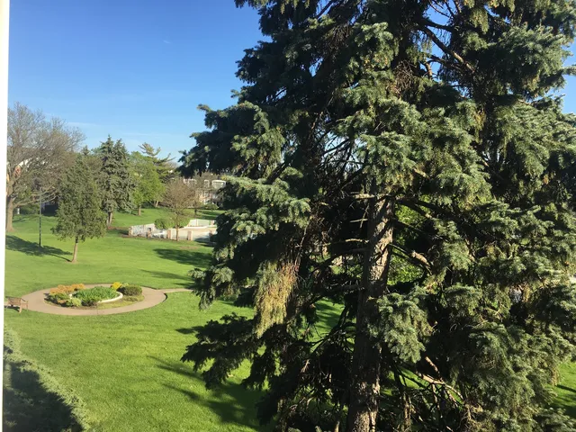 a view of a house with backyard