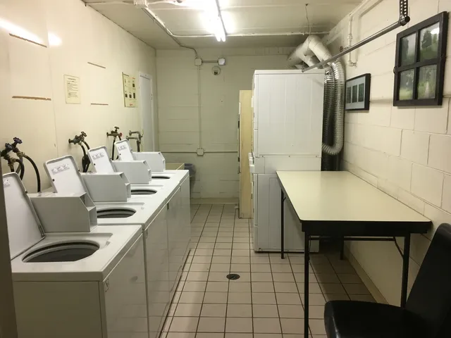 a view of outdoor space with garden and trees