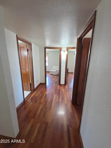 a view of yard with trees