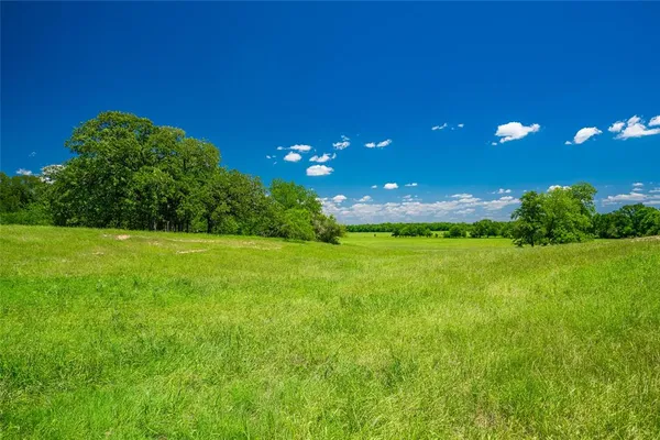 a view of an outdoor space and yard