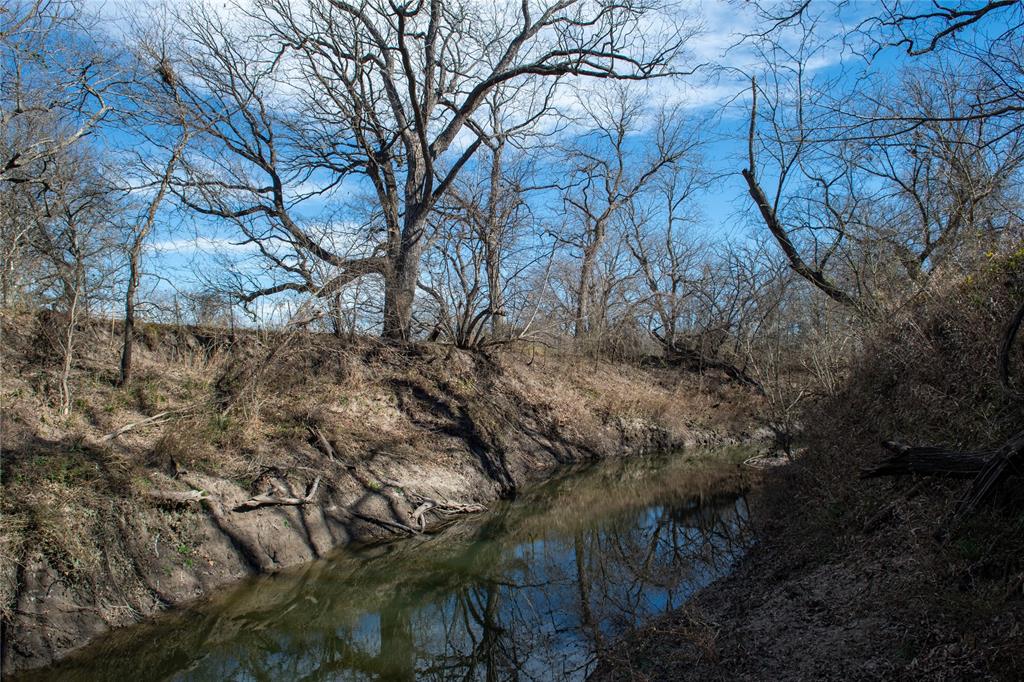 0 Lcr 412 Groesbeck, TX 76642 - Photo 1 of 37 a view of a forest with lots of trees