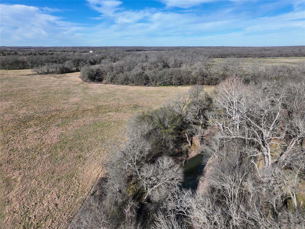 0 Lcr 412 Groesbeck, TX 76642 - Photo 17 of 37 a view of a dry yard with trees