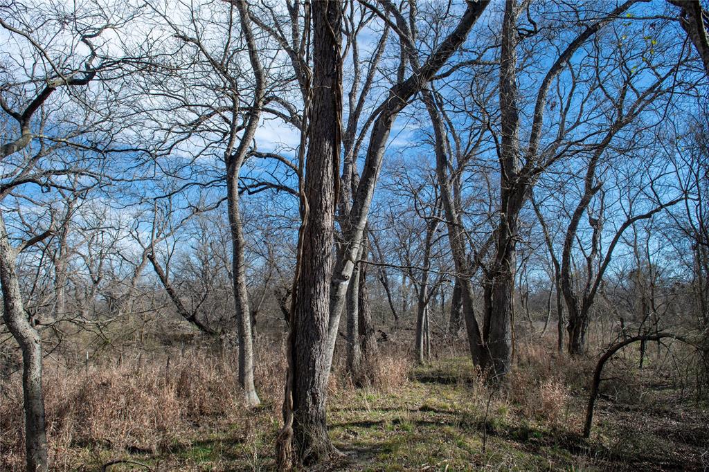 0 Lcr 412 Groesbeck, TX 76642 - Photo 24 of 37 a view of a yard