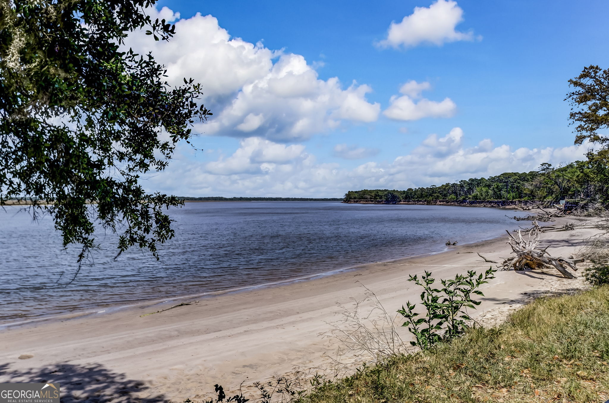 203 Foxwood Circle St. Marys, GA 31558 - Photo 39 of 52 a view of a dry yard with wooden fence