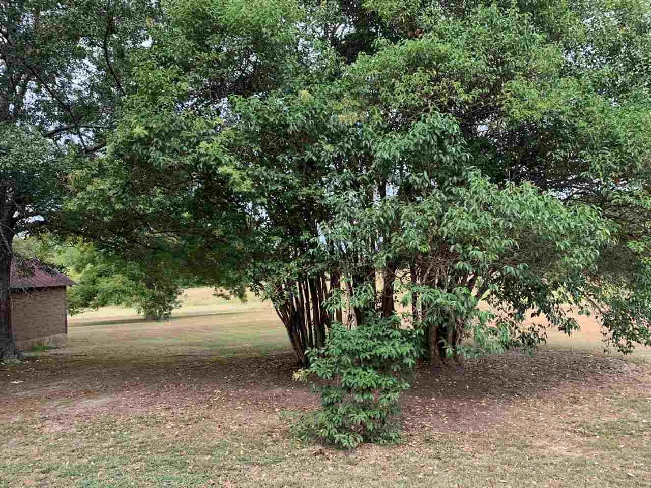 110 Miller Town Road Pauline, SC 29374 - Photo 21 of 25 Gallery Image 21