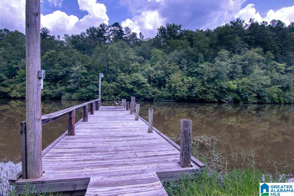 231 County Road 2012 Delta, AL 36258 - Photo 2 of 24