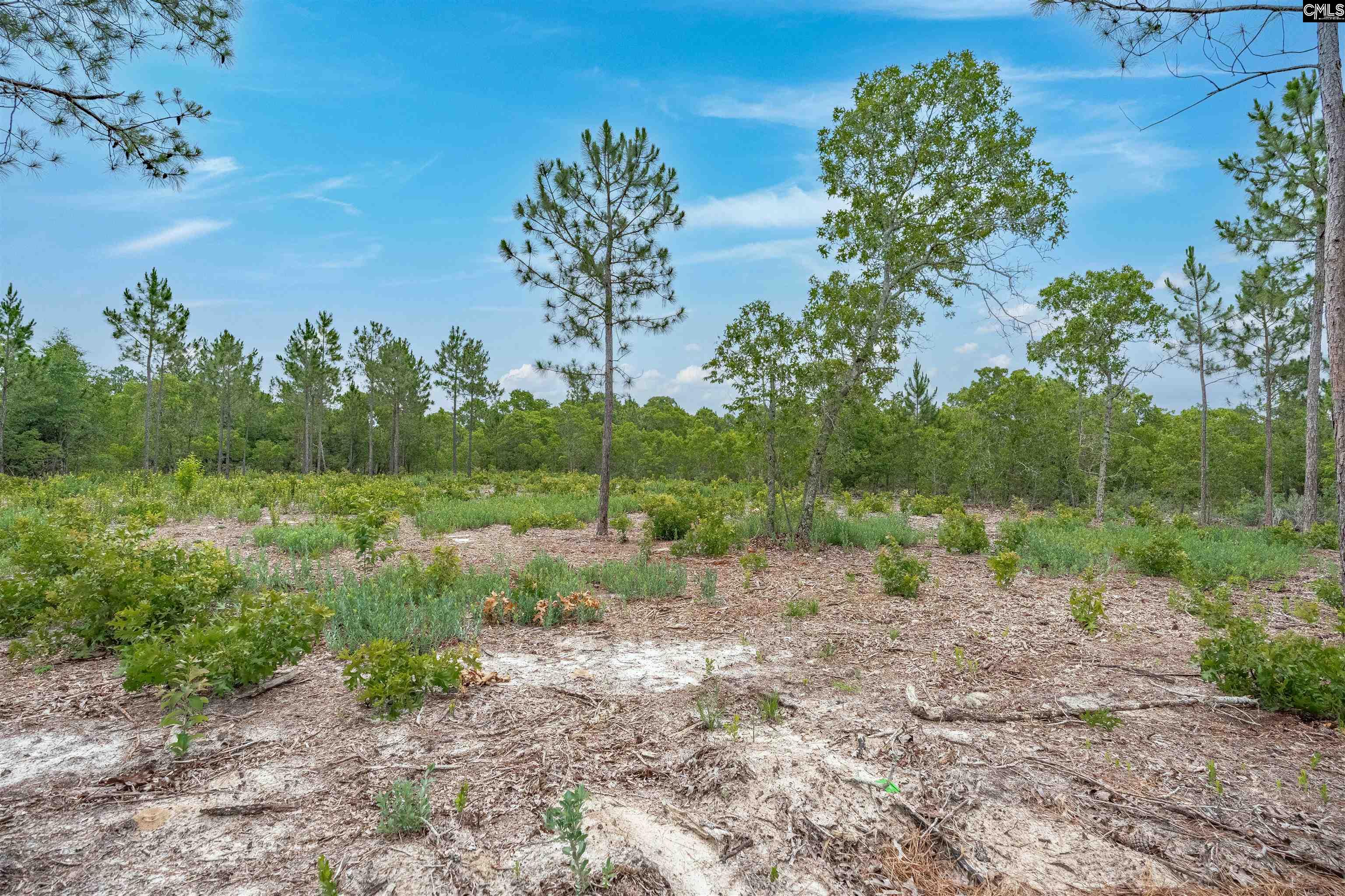 656 Old Charleston Road Pelion, SC 29123 - Photo 46 of 50