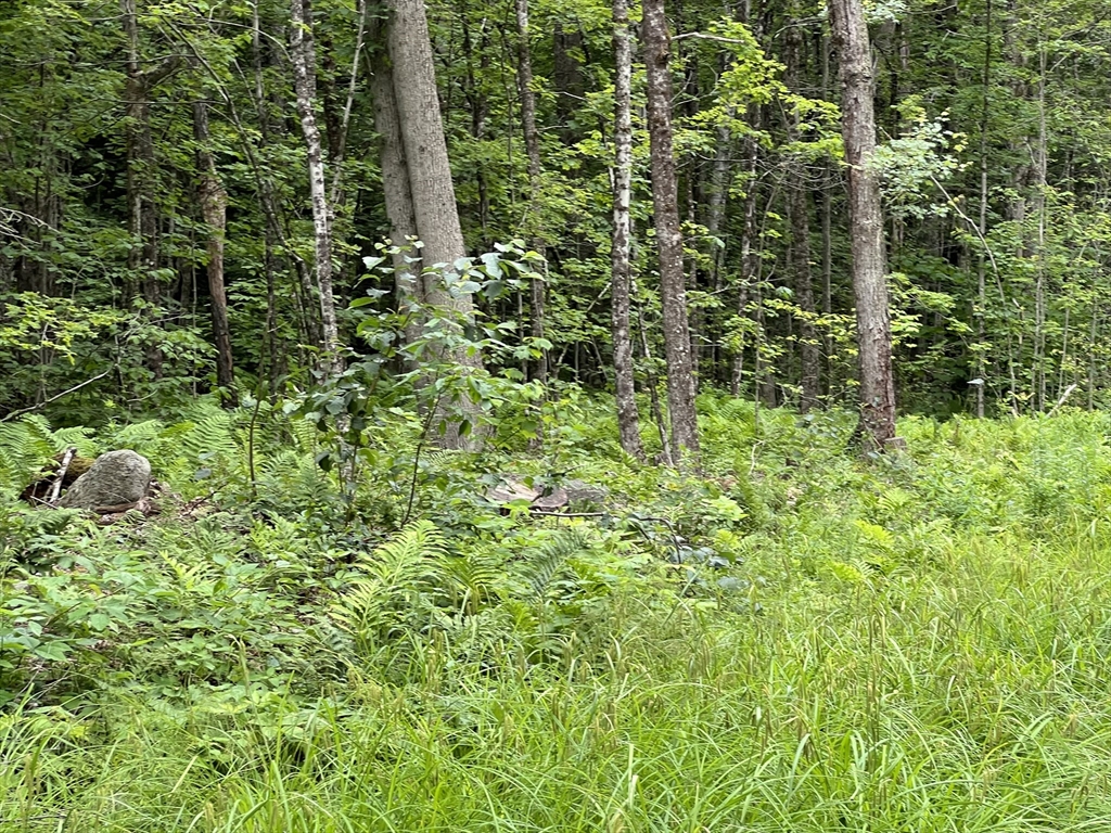 Lot 19 Becket Road Hinsdale, MA 01235 - Photo 4 of 8