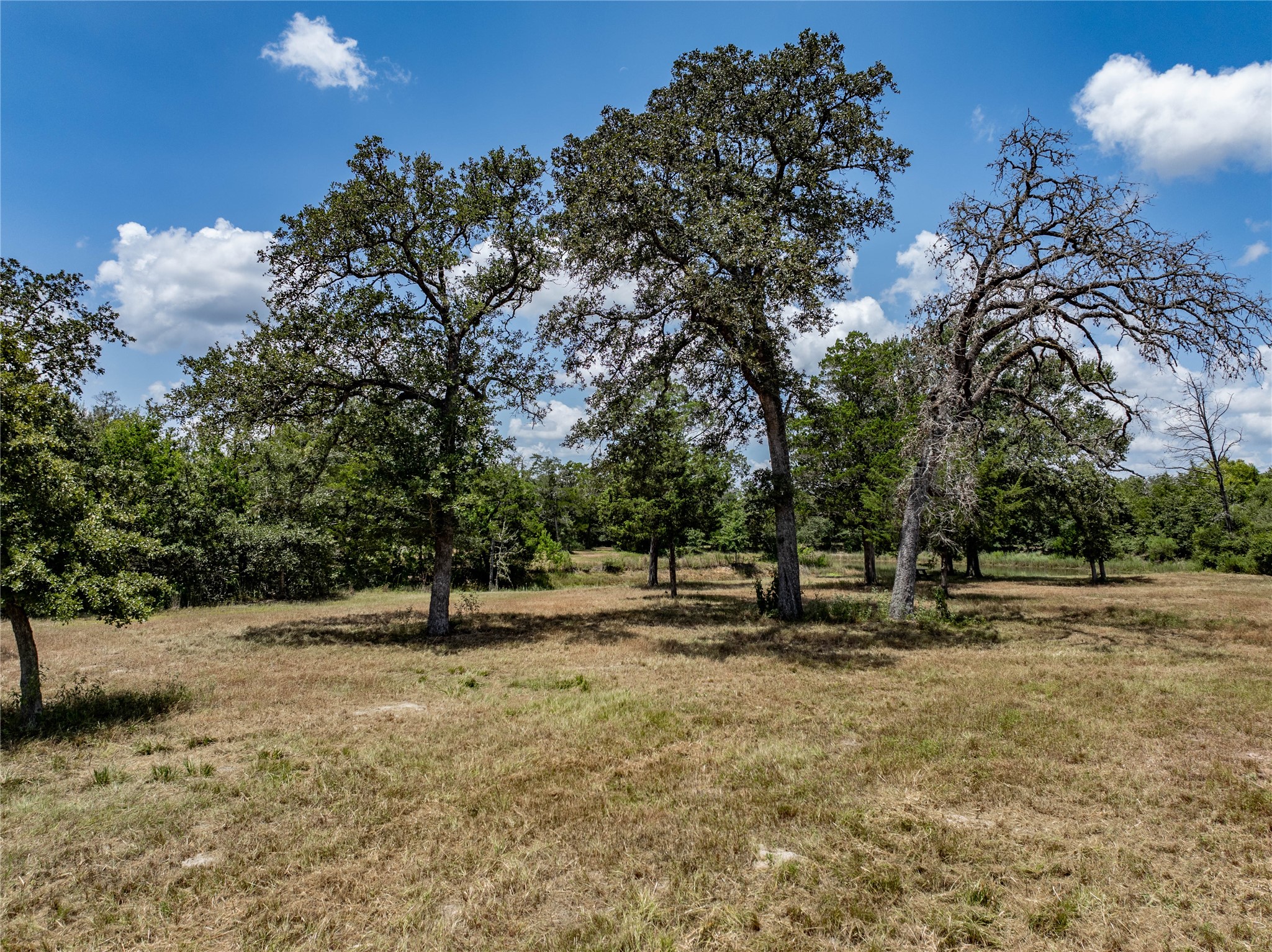 1126 Abel Road New Ulm, TX 78950 - Photo 10 of 31 Gallery Image 10