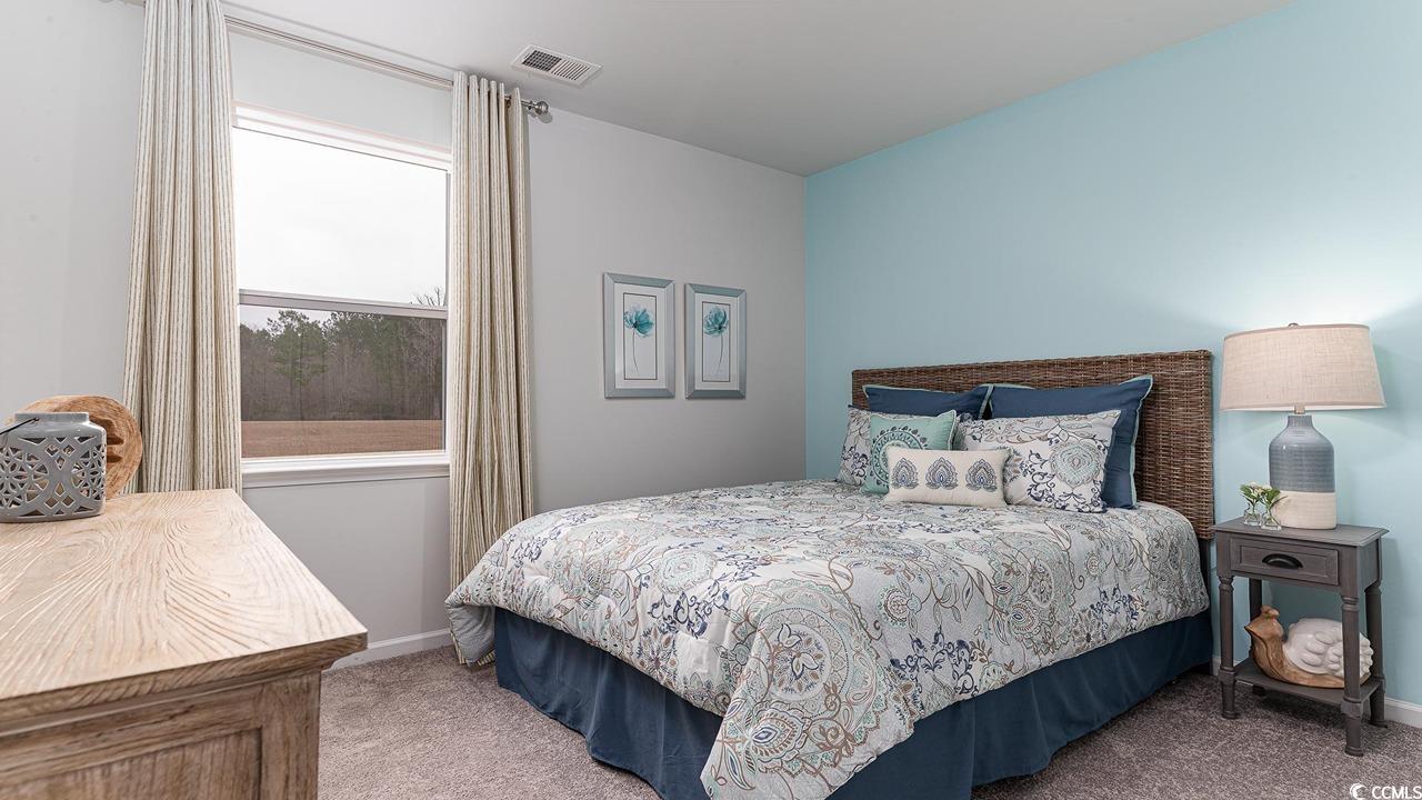 540 Duvall Street Longs, SC 29568 - Photo 11 of 12