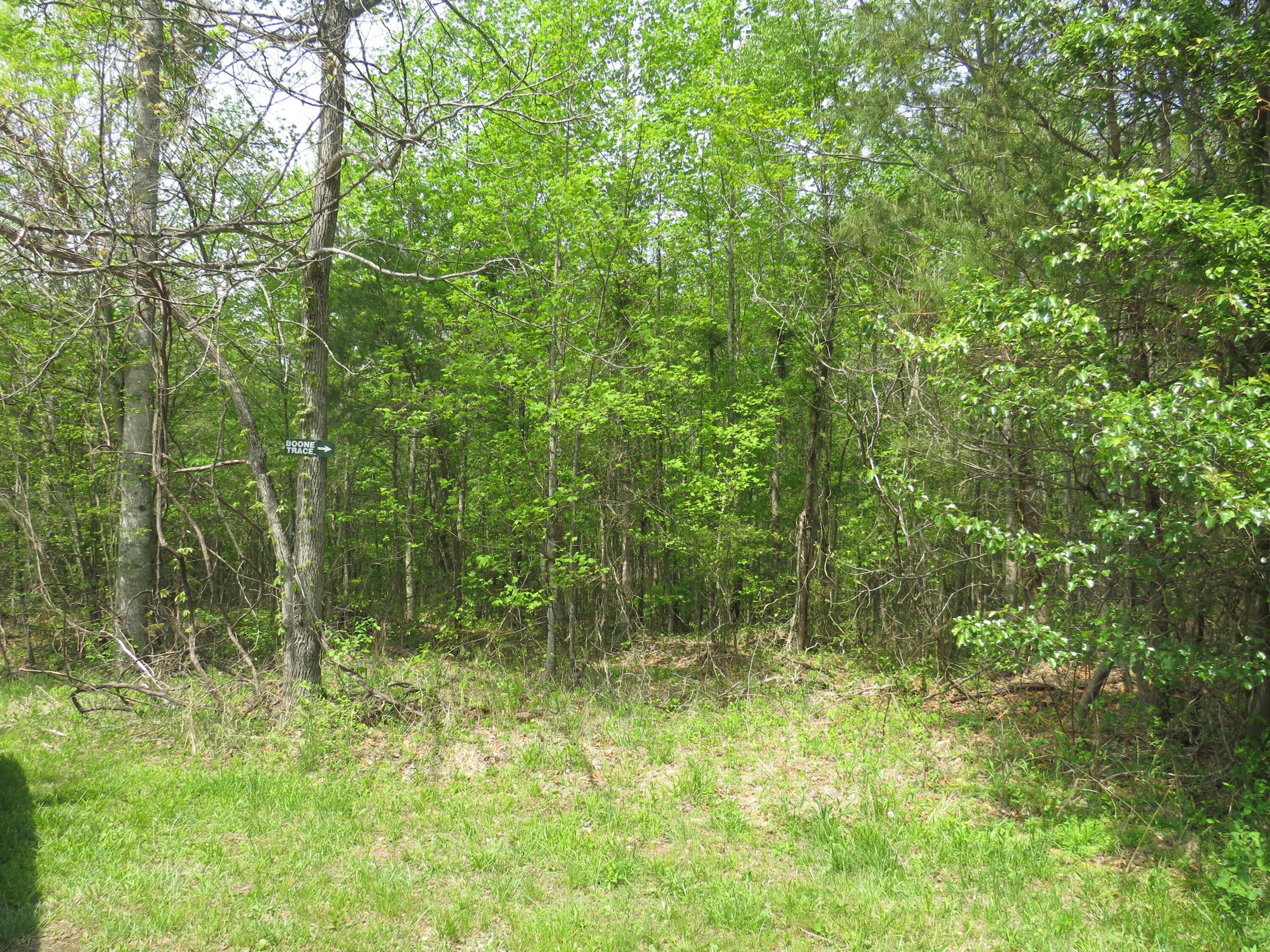 378 Walnut Road Lily, KY 40740 - Photo 3 of 33 IMG_1726 - Copy - Copy - Copy