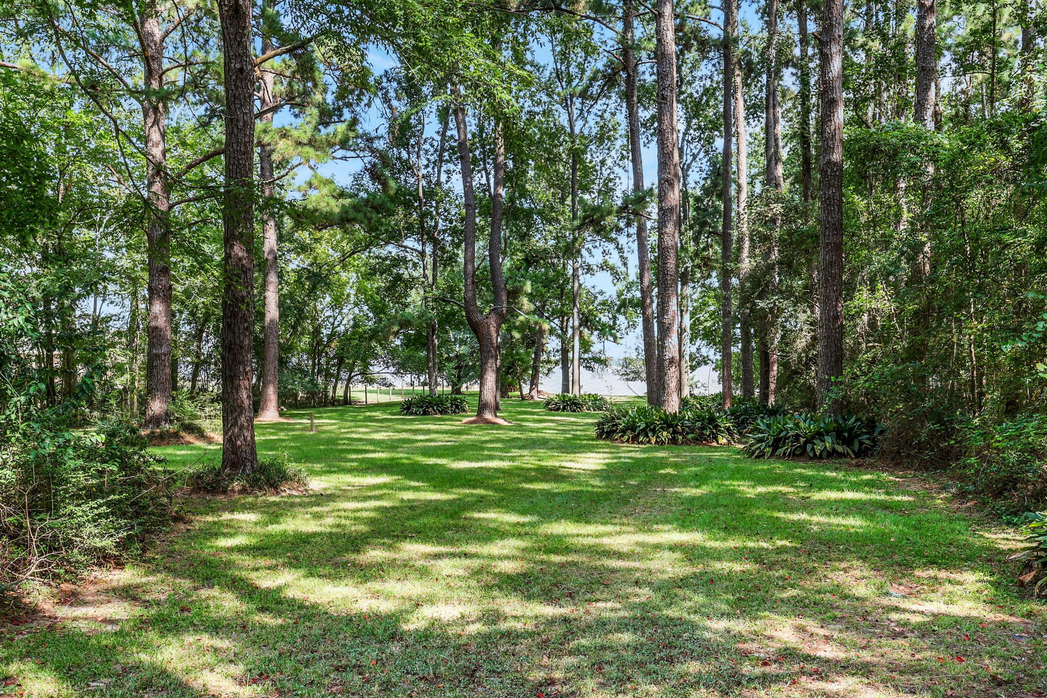 200 Johnson Road Coldspring, TX 77331 - Photo 40 of 47 There’s plenty of space to spread out, enjoy the outdoors and make the property your own