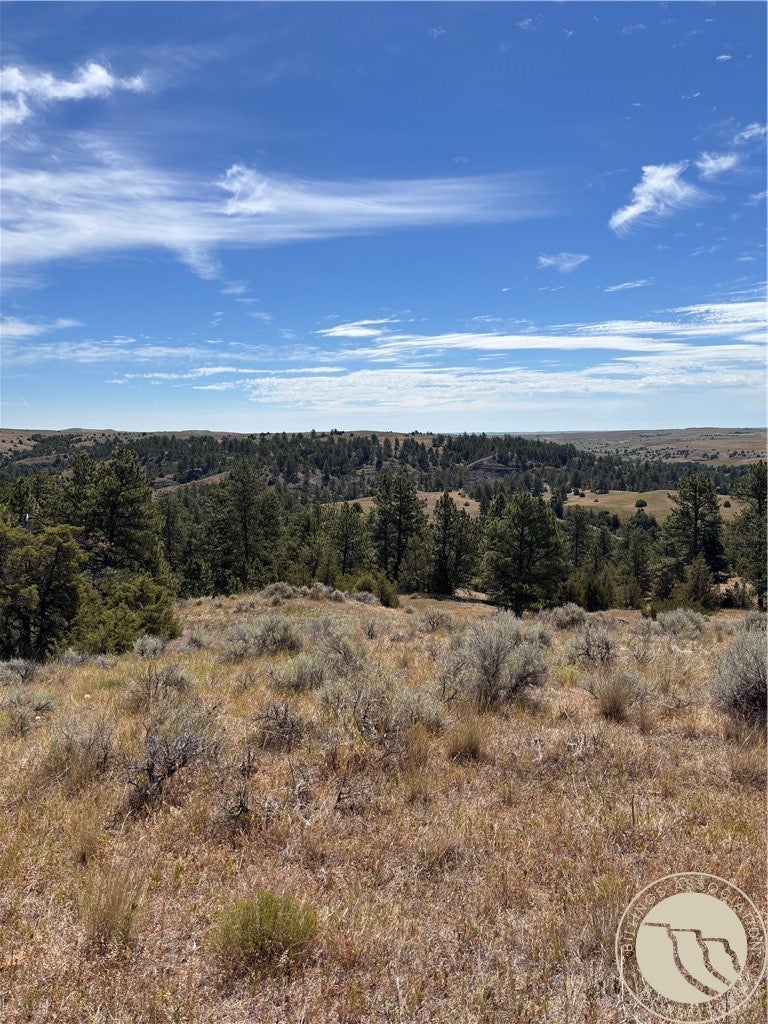 0 Coulee View Road Billings, MT 59101 - Photo 16 of 29 Gallery Image 16