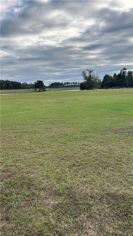 1964 Coney Road Vienna, GA 31092 - Photo 14 of 18