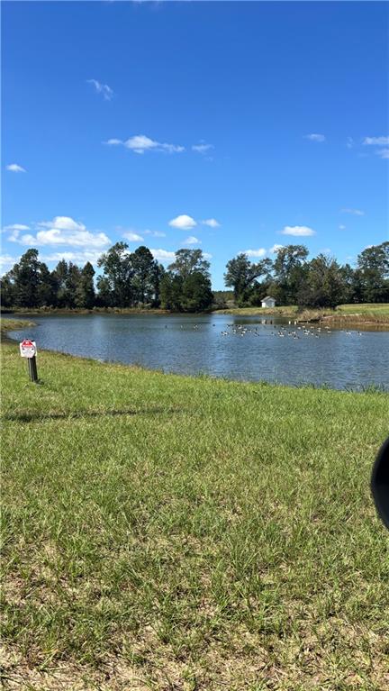 1964 Coney Road Vienna, GA 31092 - Photo 3 of 18 a view of a lake with houses in the back