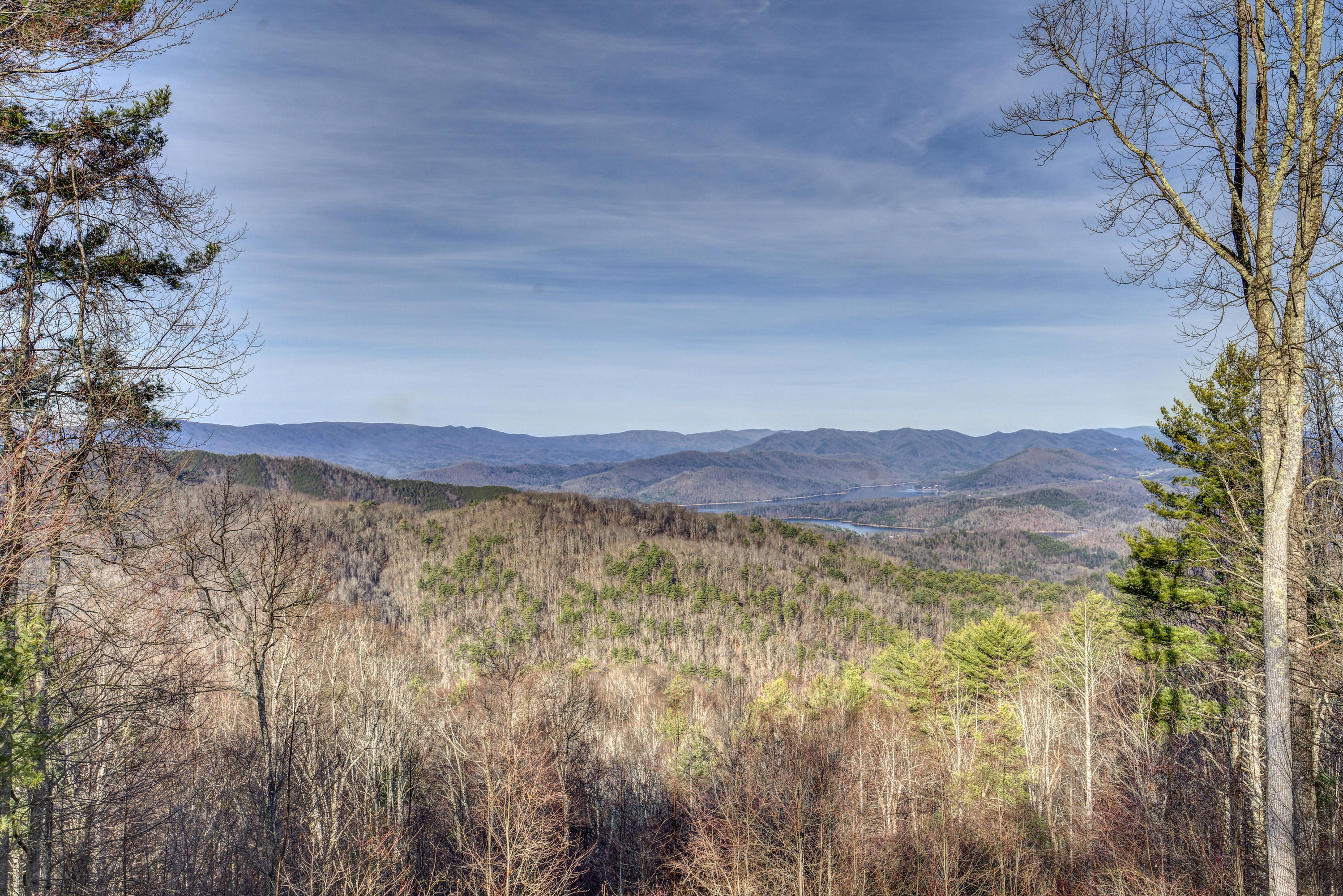 Lot 24 Mays Ridge Road, Unit 24 Butler, TN 37640 - Photo 1 of 29 MayesRidgeLand- (10 of 11)