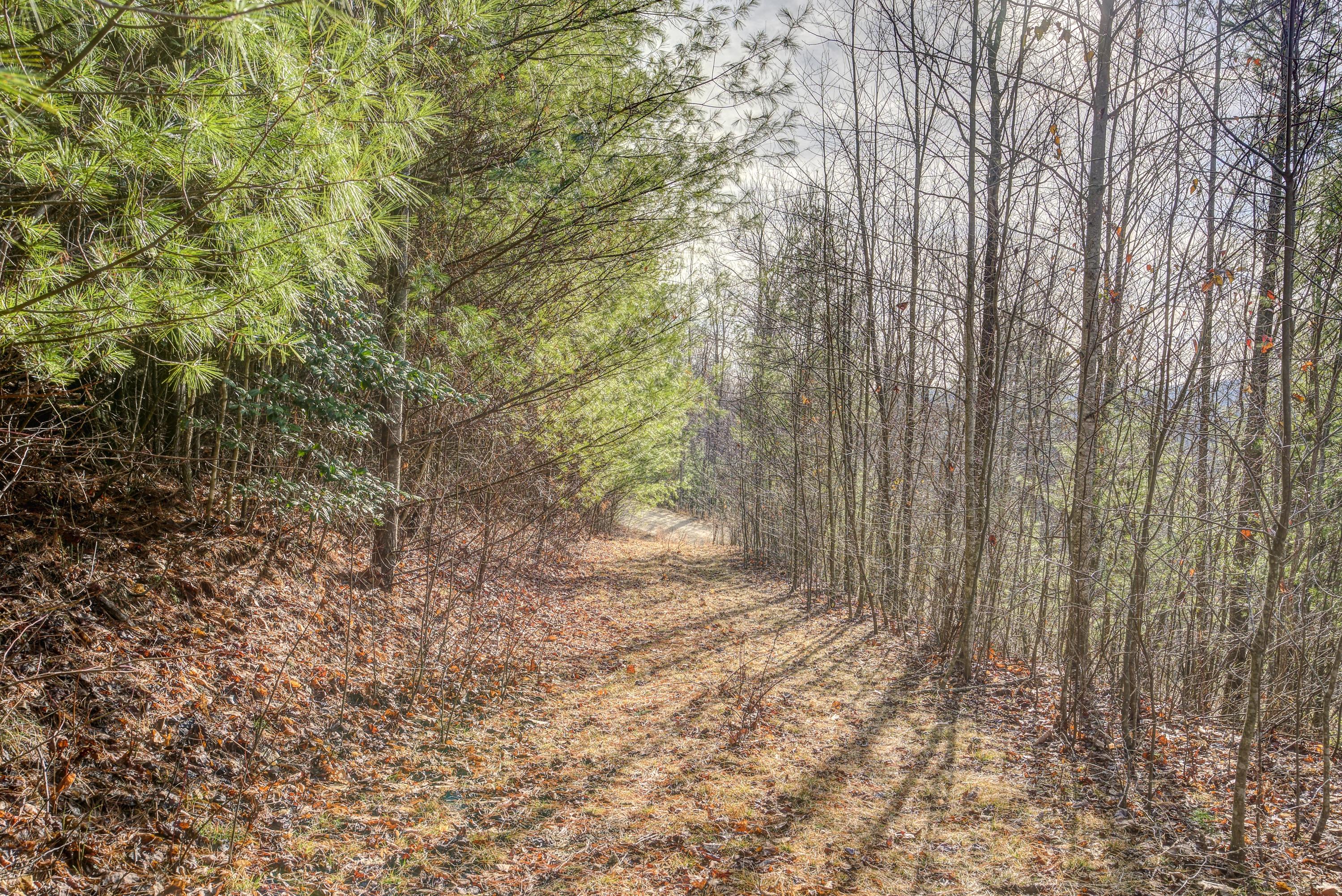 Lot 24 Mays Ridge Road, Unit 24 Butler, TN 37640 - Photo 11 of 29 MayesRidgeLand- (3 of 11)