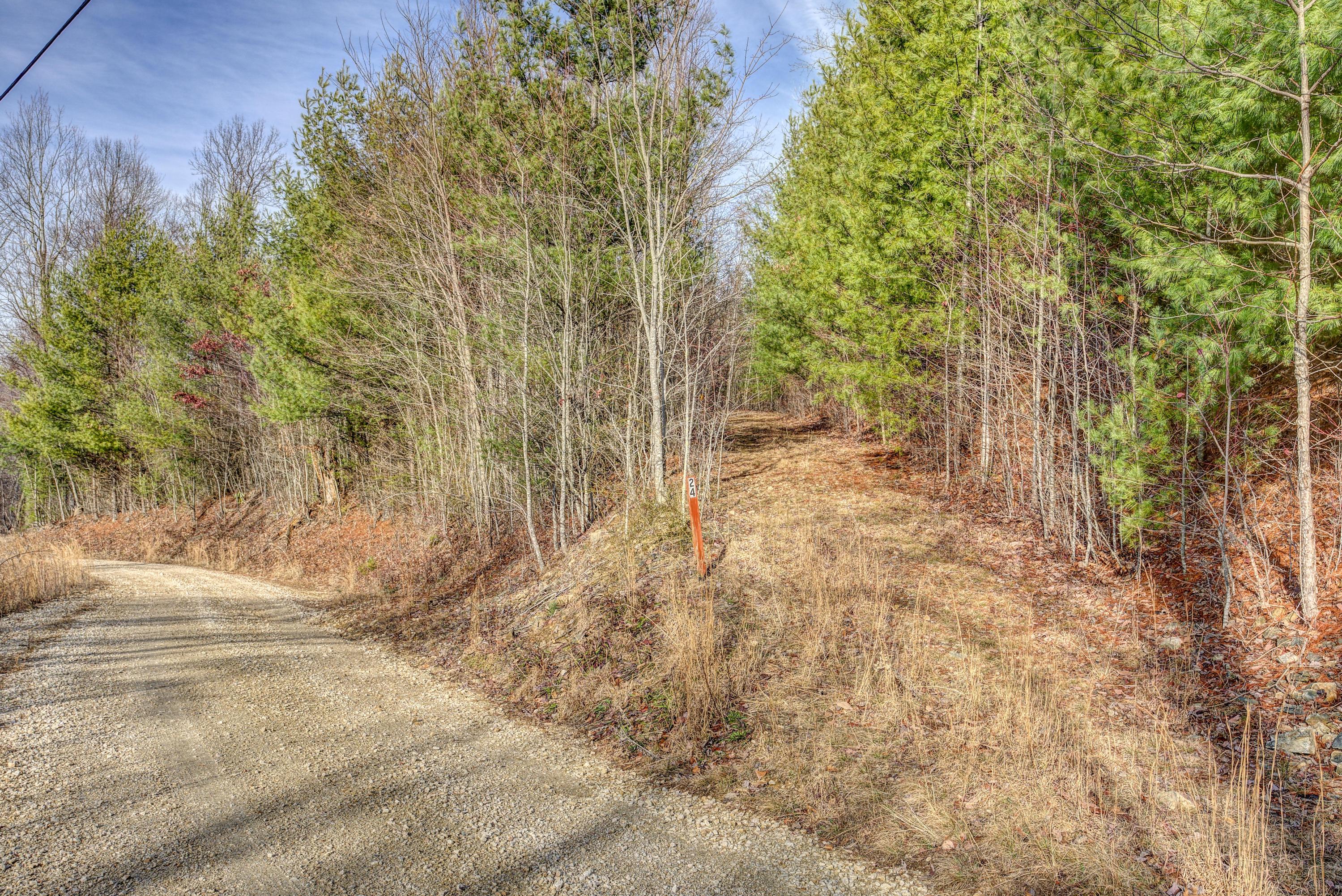 Lot 24 Mays Ridge Road, Unit 24 Butler, TN 37640 - Photo 12 of 29 MayesRidgeLand- (2 of 11)