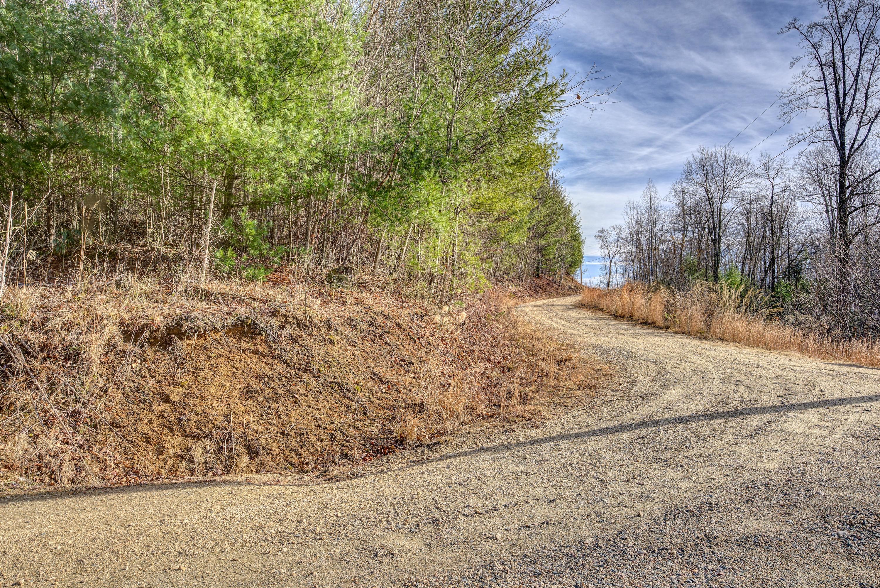 Lot 24 Mays Ridge Road, Unit 24 Butler, TN 37640 - Photo 5 of 29 MayesRidgeLand- (9 of 11)