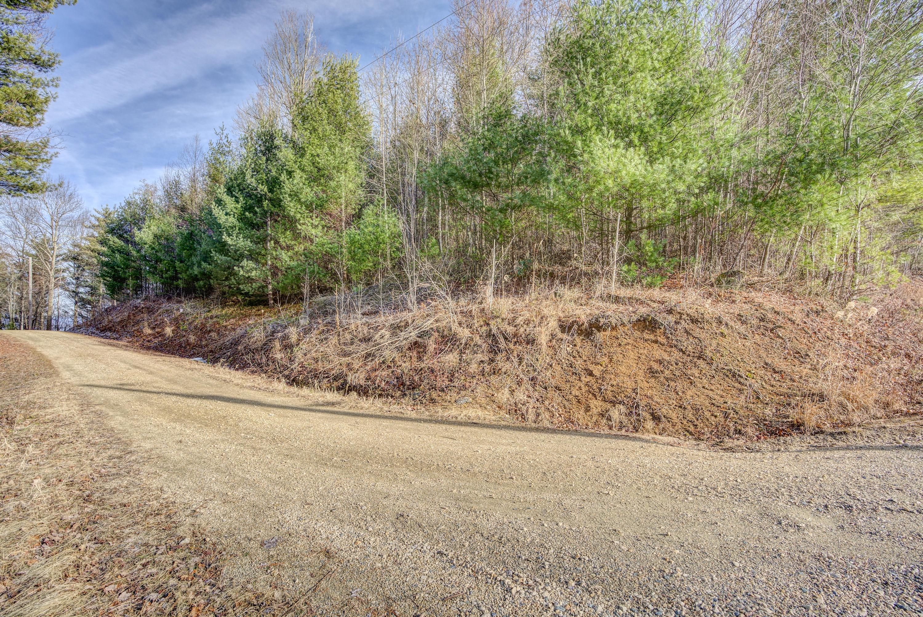 Lot 24 Mays Ridge Road, Unit 24 Butler, TN 37640 - Photo 6 of 29 MayesRidgeLand- (8 of 11)