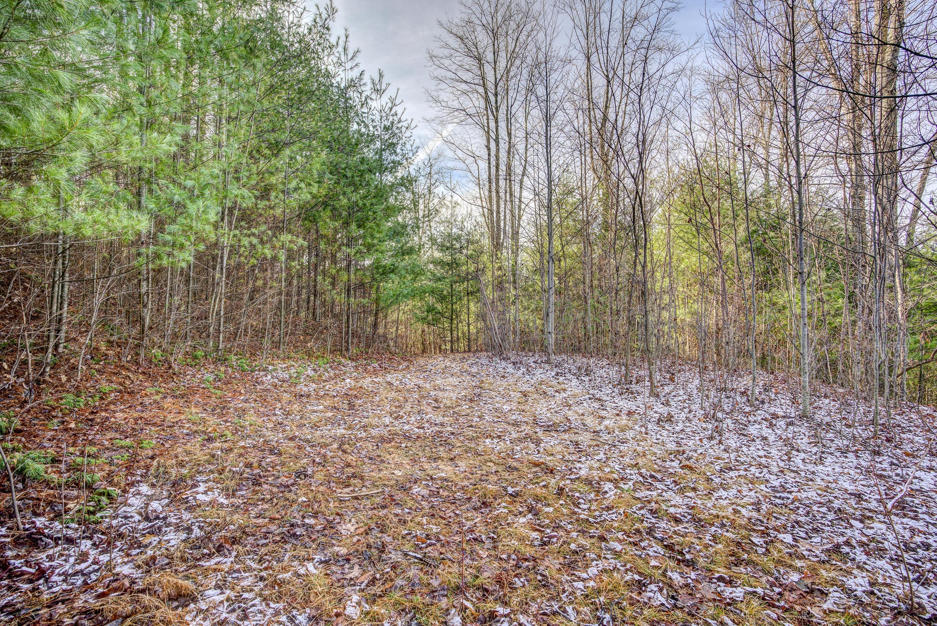 Lot 24 Mays Ridge Road, Unit 24 Butler, TN 37640 - Photo 9 of 29 MayesRidgeLand- (5 of 11)