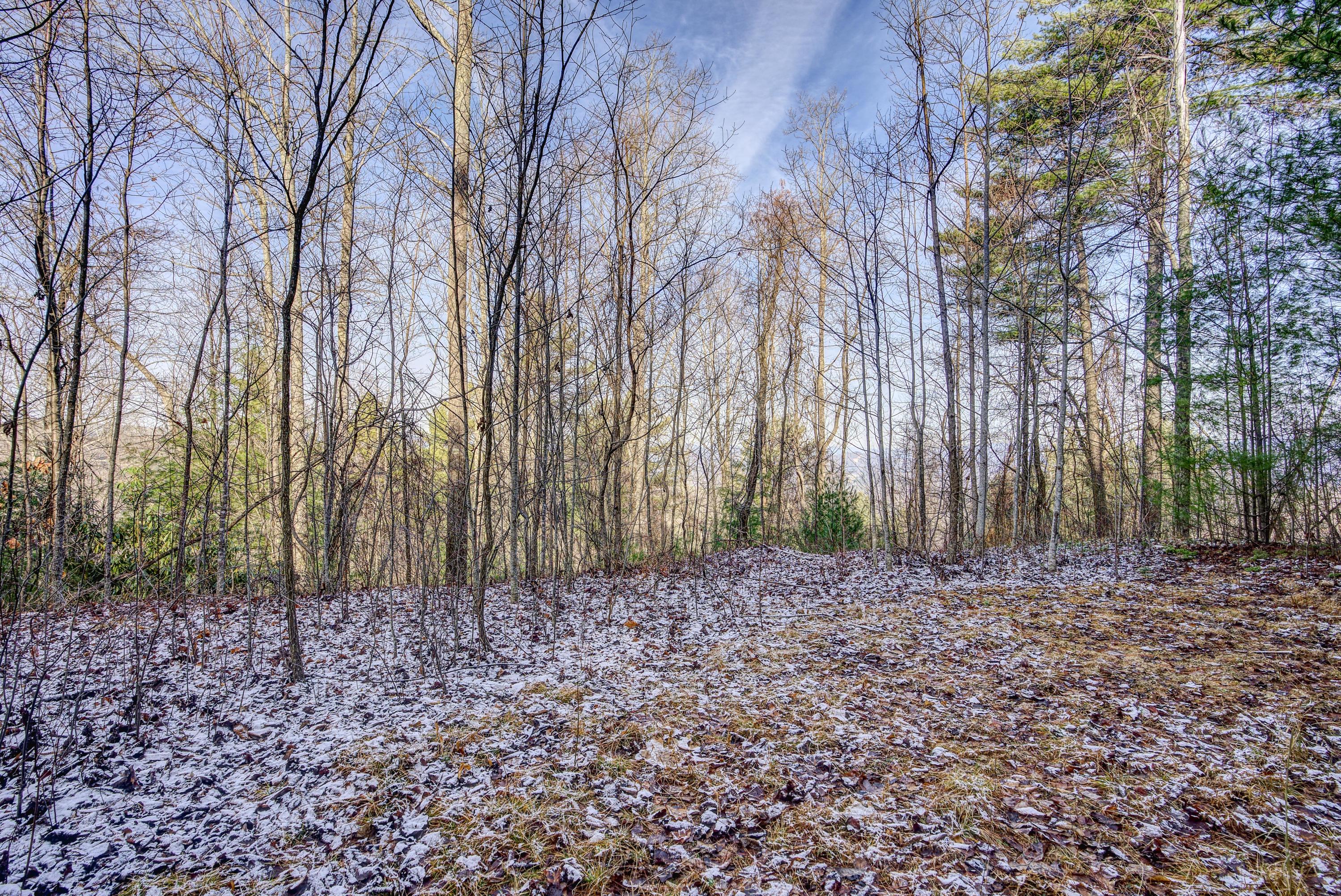 Lot 24 Mays Ridge Road, Unit 24 Butler, TN 37640 - Photo 10 of 29 MayesRidgeLand- (4 of 11)