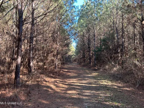 $477,000 | 307 Willis Road, Decatur, MS 39327