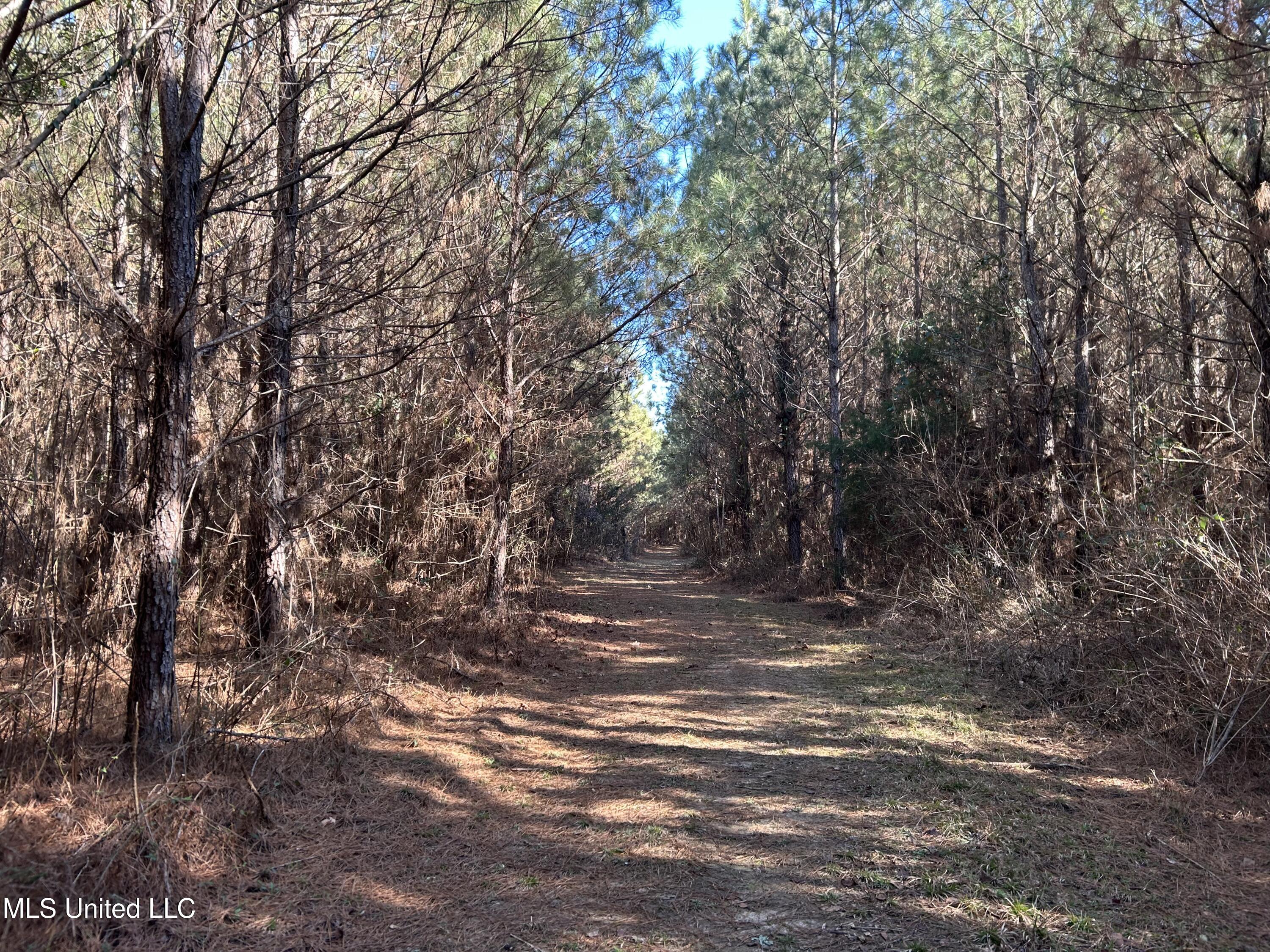 307 Willis Road Decatur, MS 39327 - Photo 15 of 41 15