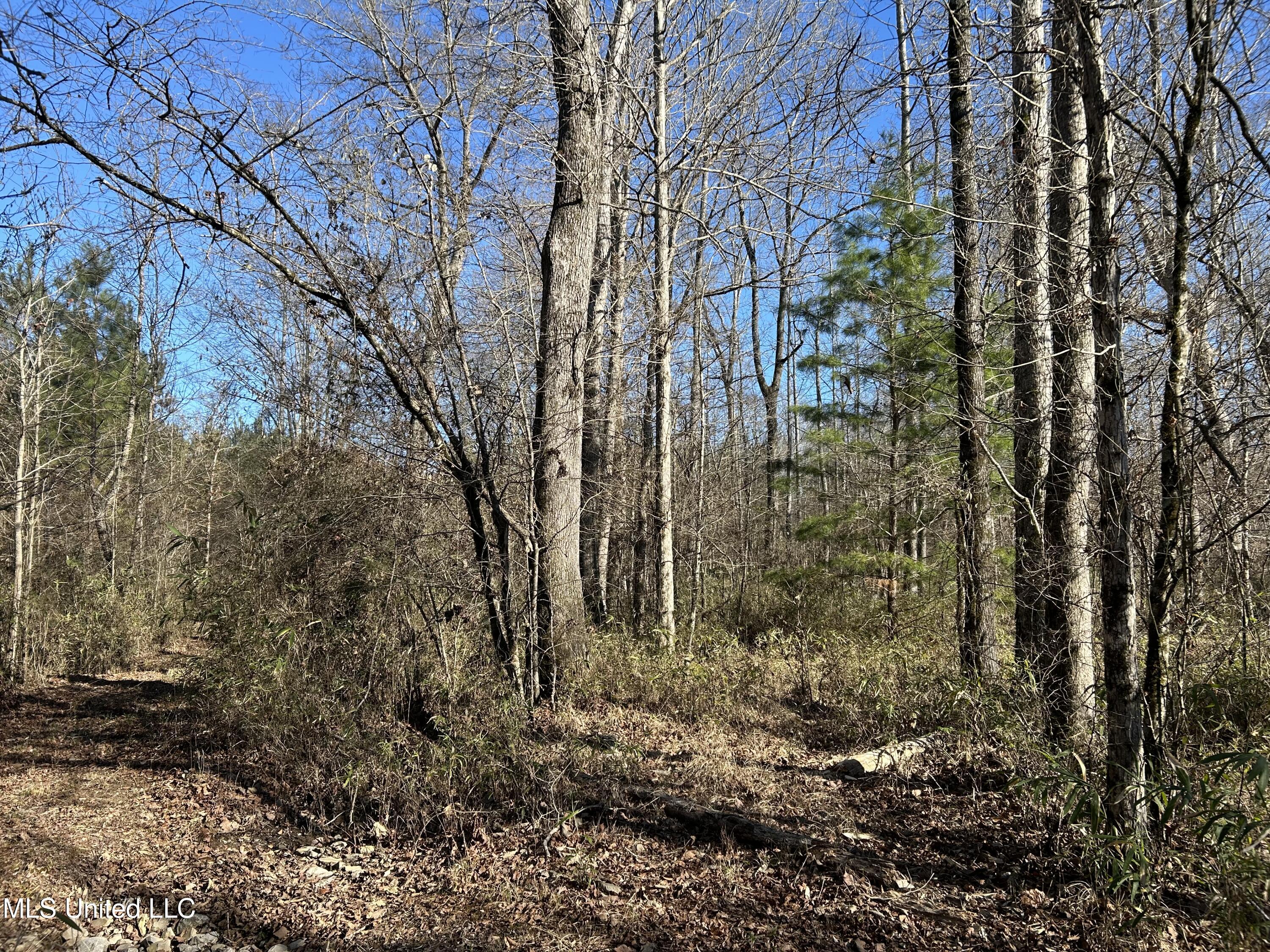 307 Willis Road Decatur, MS 39327 - Photo 16 of 41 16