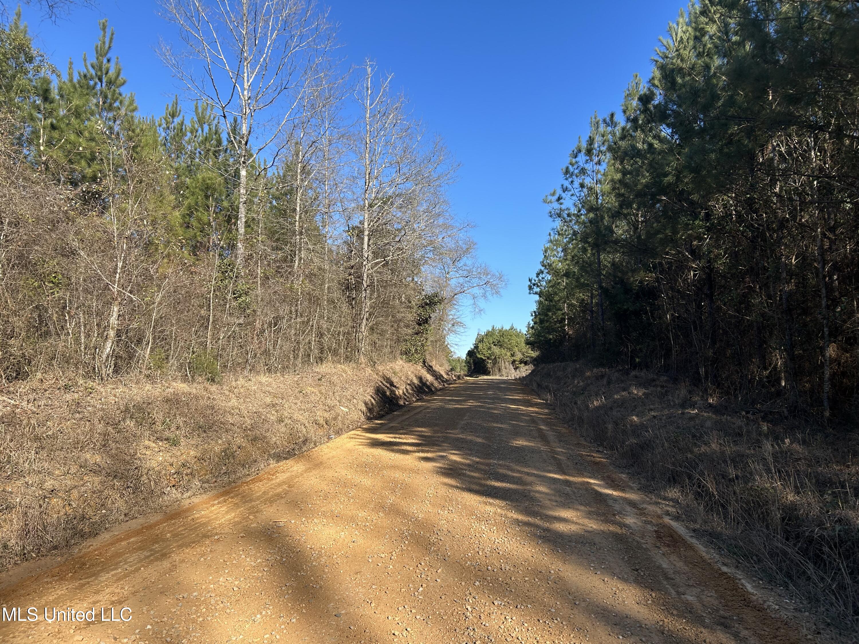 307 Willis Road Decatur, MS 39327 - Photo 17 of 41 17