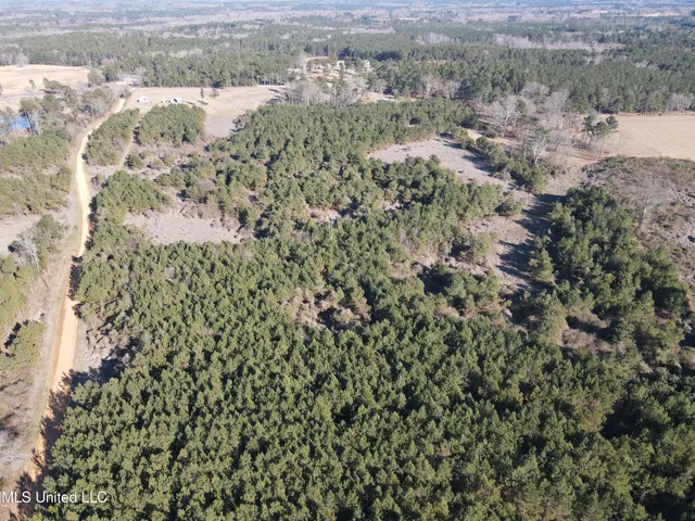 $477,000 | 307 Willis Road, Decatur, MS 39327