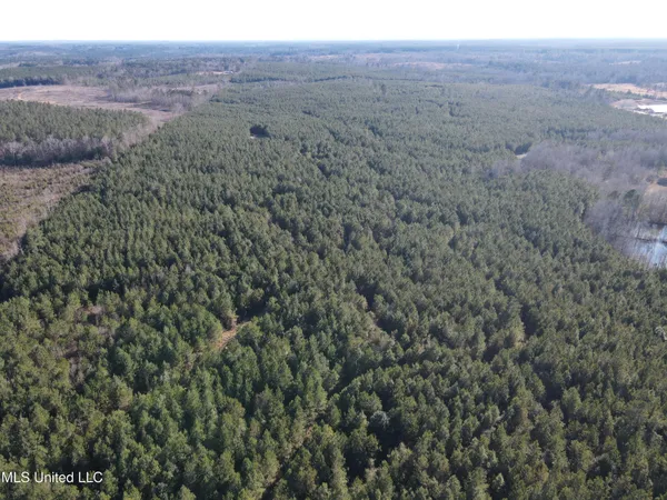 $477,000 | 307 Willis Road, Decatur, MS 39327