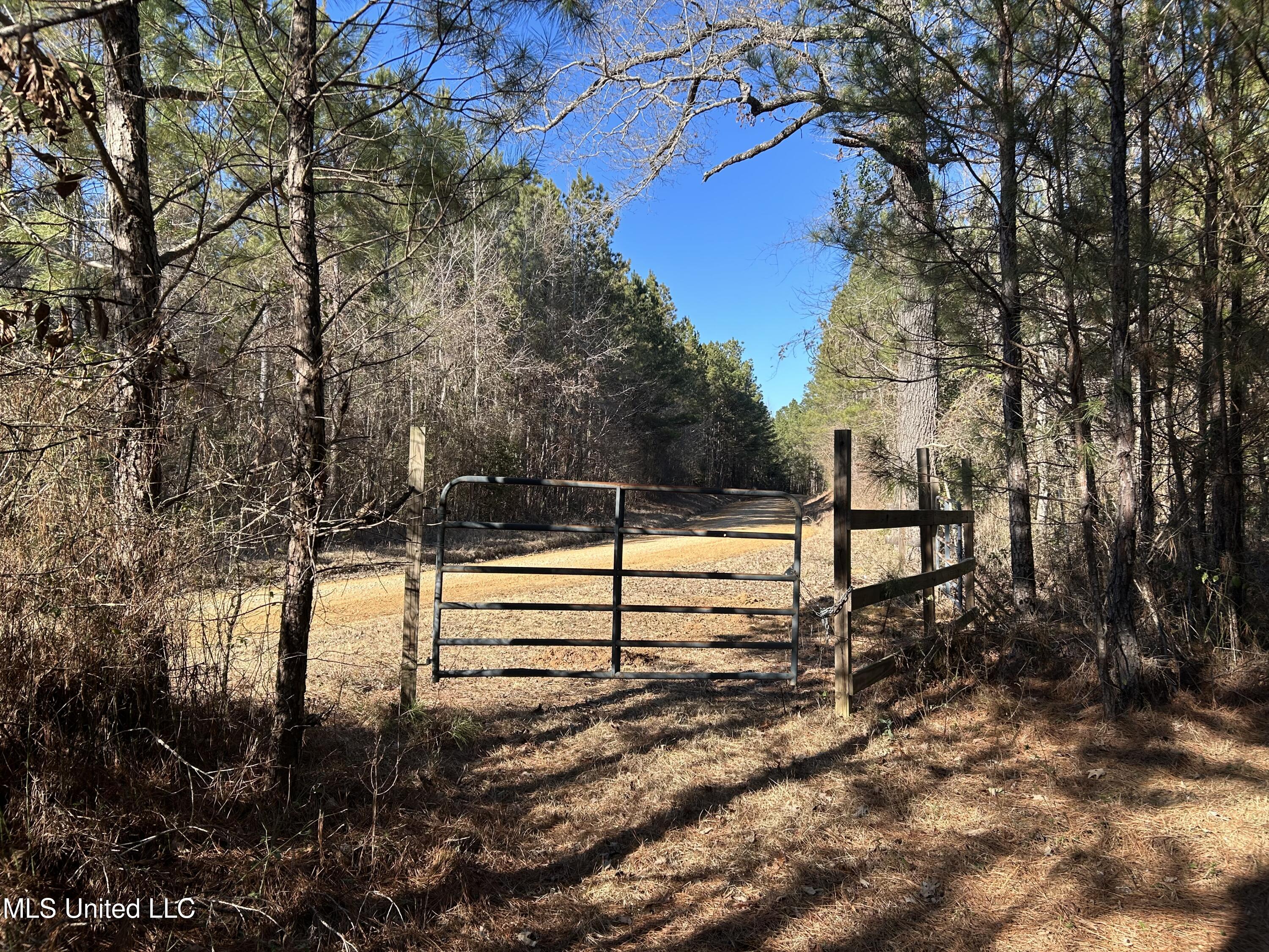 307 Willis Road Decatur, MS 39327 - Photo 2 of 41 2