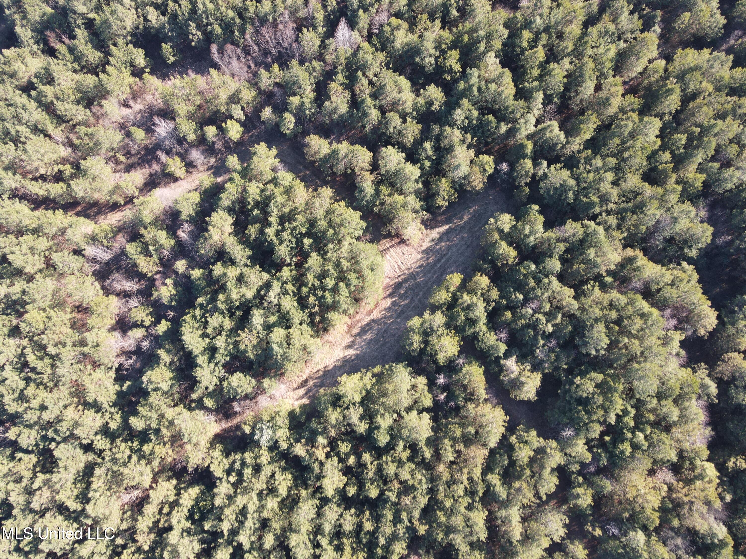 307 Willis Road Decatur, MS 39327 - Photo 21 of 41 21