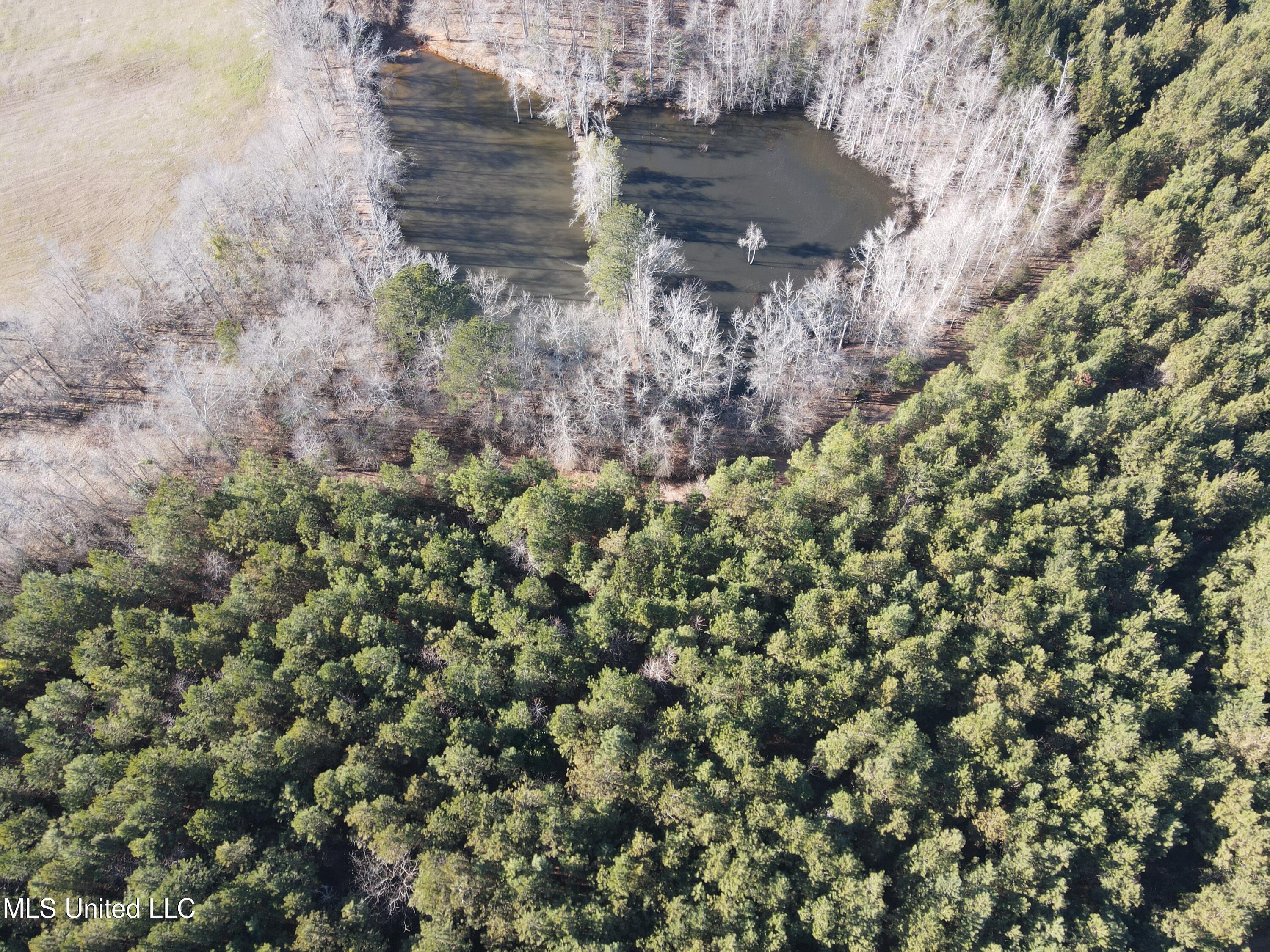 307 Willis Road Decatur, MS 39327 - Photo 22 of 41 22