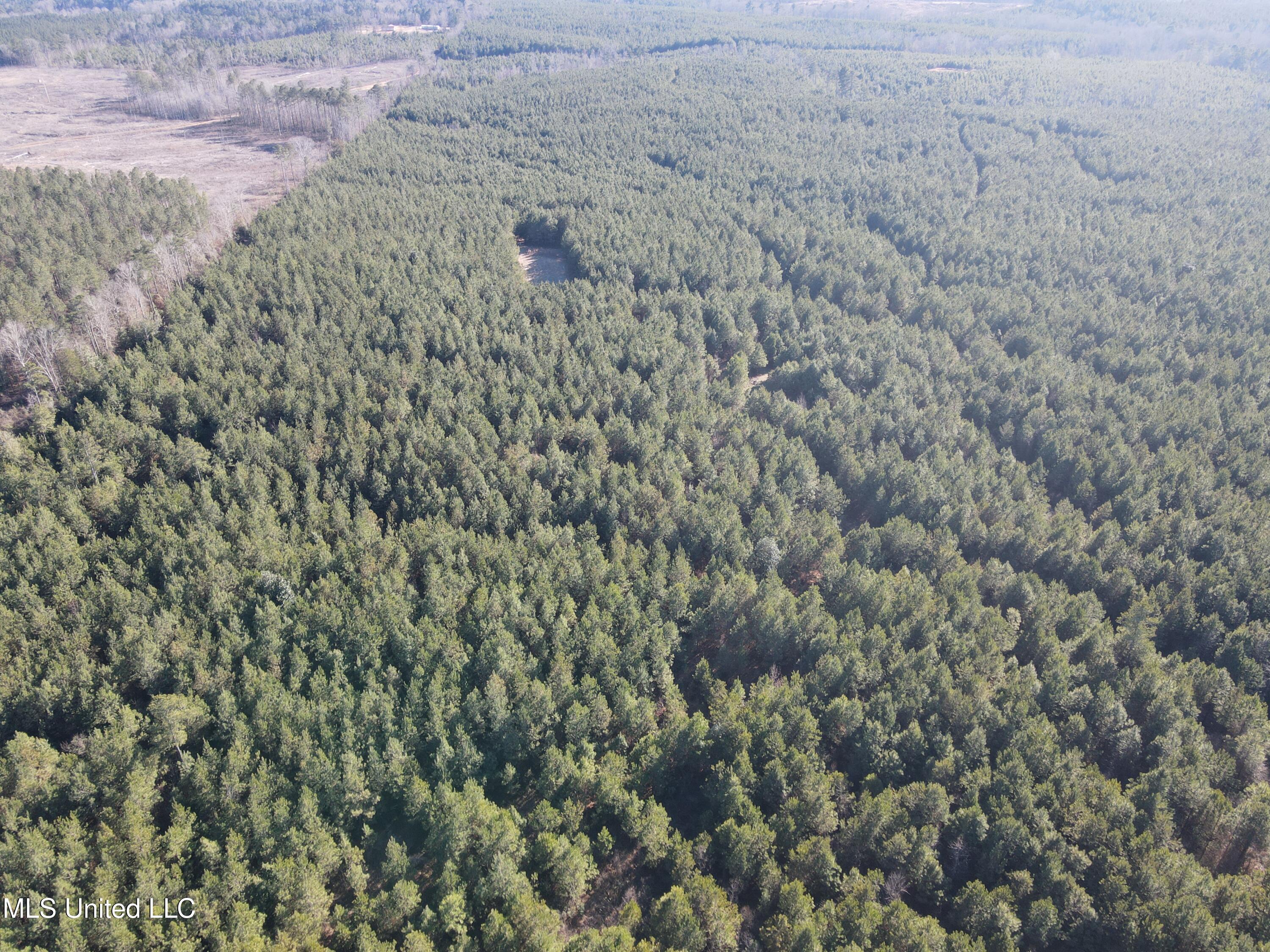 307 Willis Road Decatur, MS 39327 - Photo 23 of 41 23